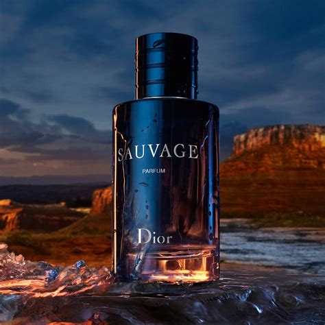 dior sauvage parfum prix tunisie|eau de parfum sauvage Dior.